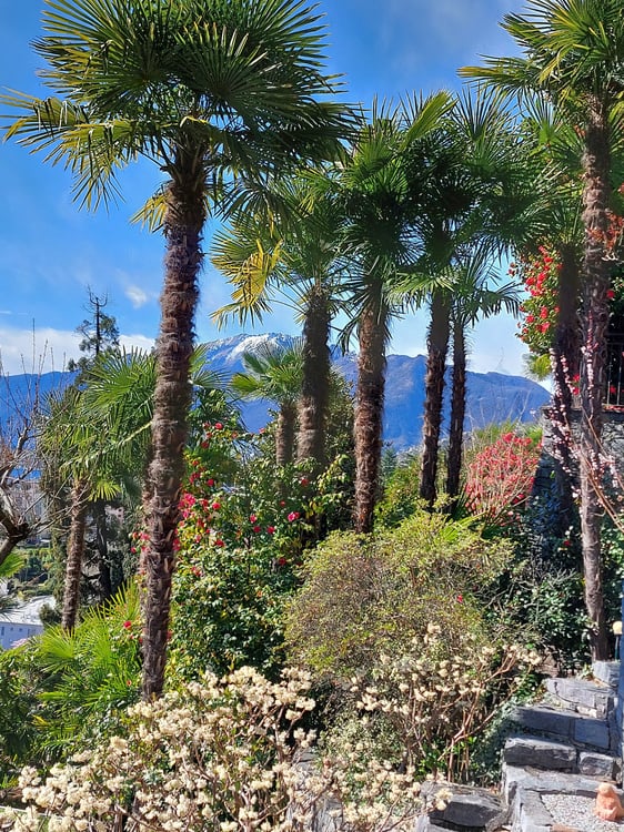 Mehr Platz als in Zürich: Villa mit Seesicht 4