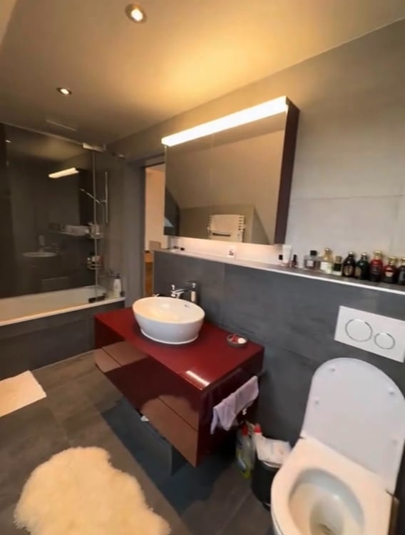 Studio meublé à louer Plainpalais (1205 Genève)** 2