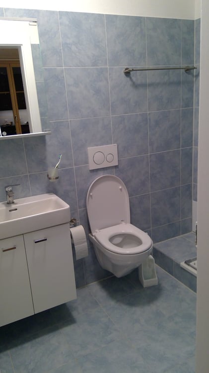 2.5 Zimmerwohnung 3