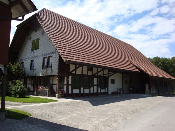 Bauernhaus/Schopf/Stall 3