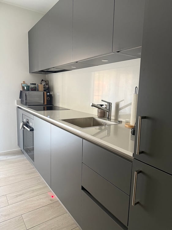 Cercasi subentrante per confortevole 2.5 a Solduno 7