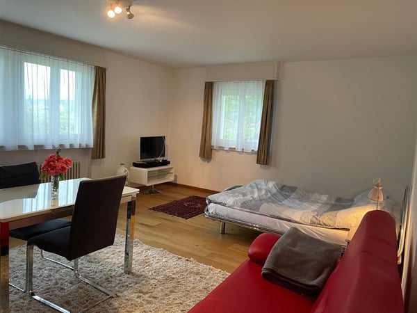 Möblierte 1-Zimmer-Einliegerwohnung Kurzmiete 2