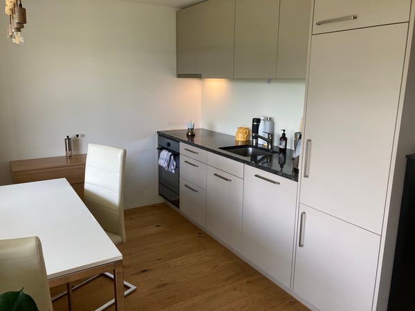 Großzügige BalkonWohnung mit Pilatus Blick 3