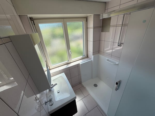 4 1/2 Zimmerwohnung 4
