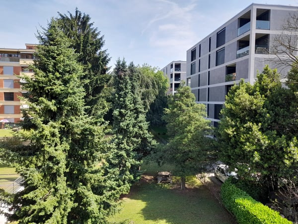 3.5 locali, balcone, tranquilla (vicino al Trenino/Migros) 5