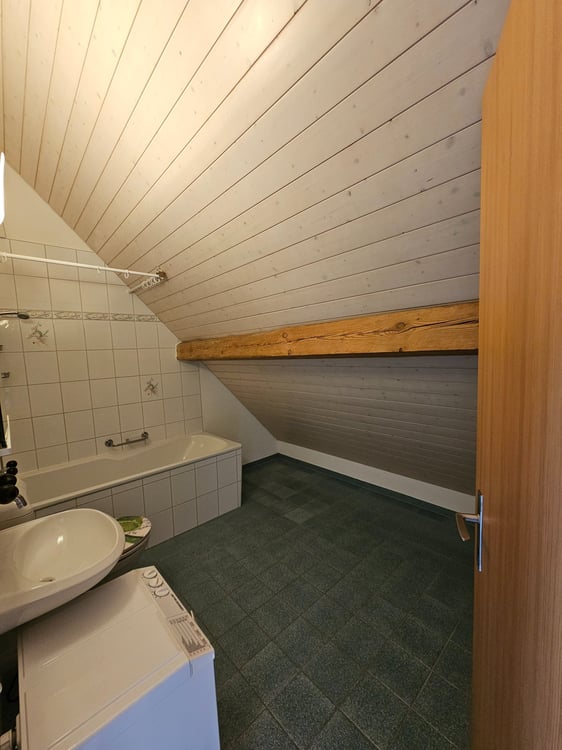 Charmante und heimelige Dachwohnung im Grünen 5