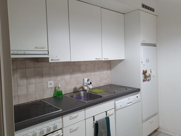 Appartamento 2,5 Ponte Tresa con vista aperta e privacy 3
