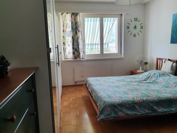 Appartamento 2,5 Ponte Tresa con vista aperta e privacy 2