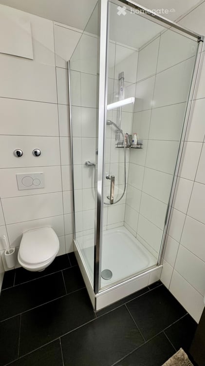 Apartamento 3 locali 3