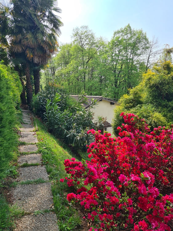 Casa unifamiliare 4