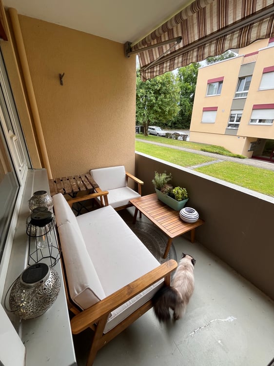 2.5 Zimmer Wohnung zu vermieten 5