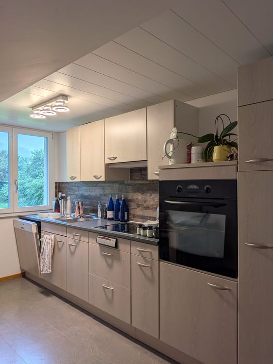 3.5 Zimmer Wohnung in Lauerz 2