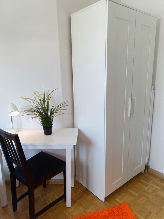 WG Zimmer mit Doppelbett in Basel mieten 2