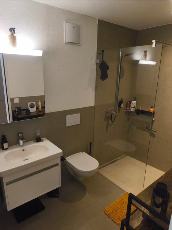 Nachmieter gesucht für moderne Wohnung am Hallwilersee 4