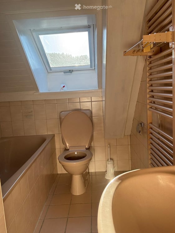 1.5 Zimmer zu Vermieten 5