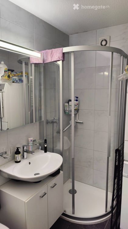 Studio Apartment in Adliswil 4