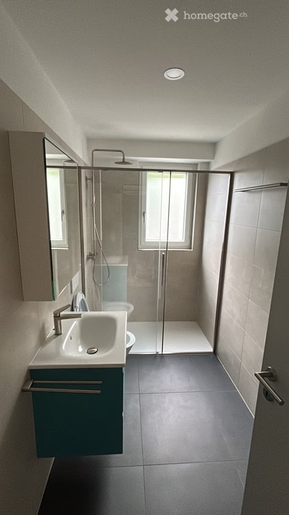 Appartamento prima locazione con vista lago a Massagno 4