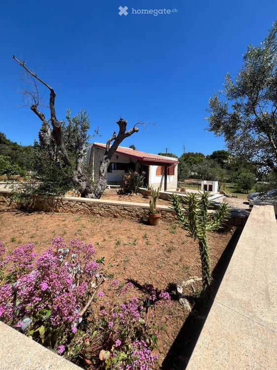 Estate 2026: Villa TRULLO tra Mare & Natura in SALENTO 1