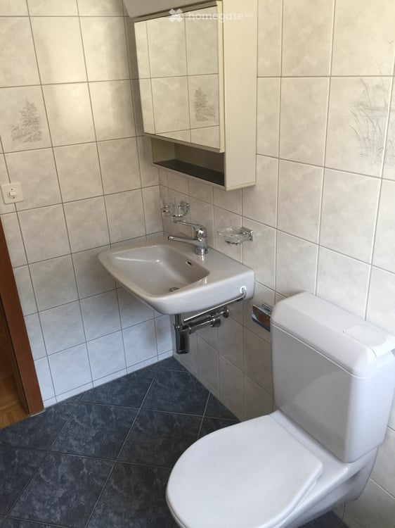 Sehr grosse 4.5-ZimmerWohnung mit Balkon in Ried-Muotathal 3