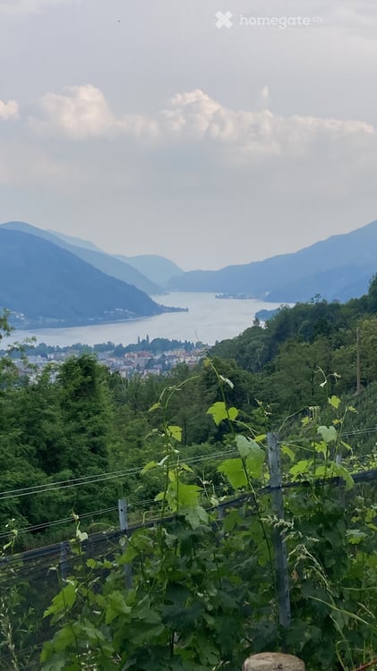 Immagine anteprima degli immobili