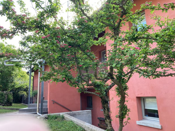affittasi appartamento 1 1/2 locali a Curio, via Favirolo 20 1