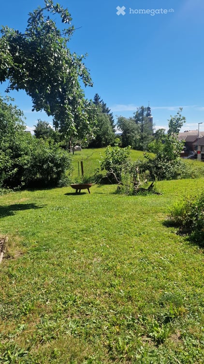 Nachmieter gesucht für freistehendes EFH traumhafter Lage 4