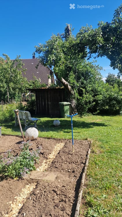 Nachmieter gesucht für freistehendes EFH traumhafter Lage 2