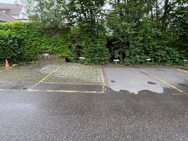 3.5 Zimmerwohnung im Hochparterre 4