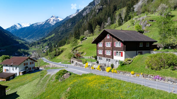 2.5 Zimmer Wohnung oder Ferienwohnung in Gurtnellen, UR 1