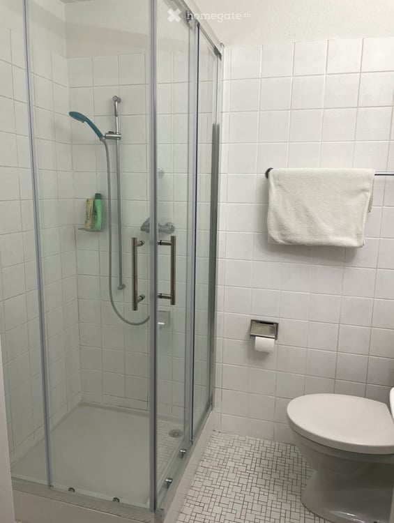 5 Zimmerwohnung mit Tiefgaragenplatz 5
