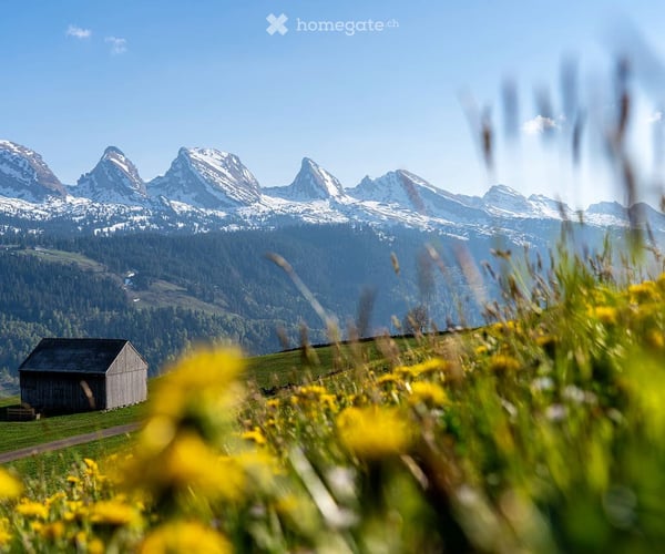 5.5 Zimmerwohnung in Wildhaus ab sofort zu vermieten 11