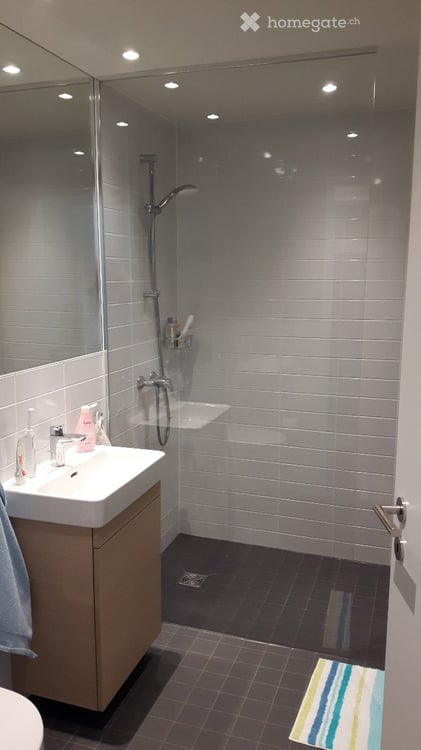 Möbliertes 1.5-Zimmer-Studio in Adliswil (Juli-August 2026) 3