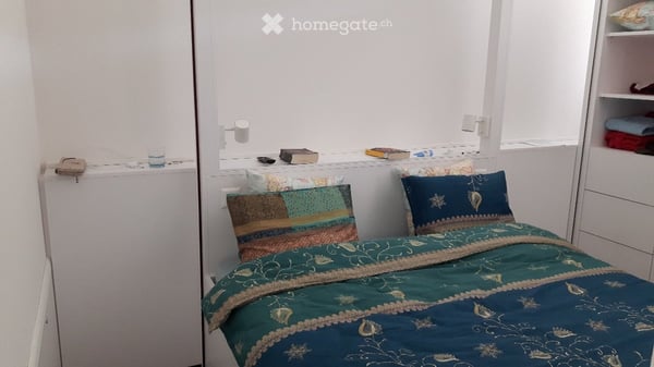 Möbliertes 1.5-Zimmer-Studio in Adliswil (Juli-August 2026) 4
