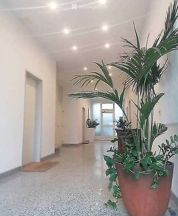 Appartamento Studio Ufficio Centralissimo 1