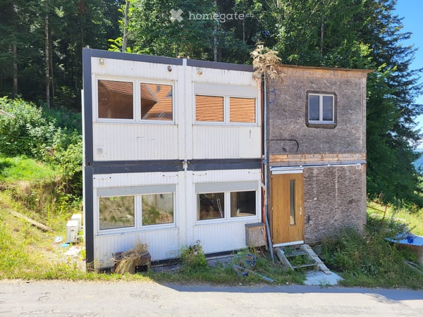 Container/Tiny Haus 1