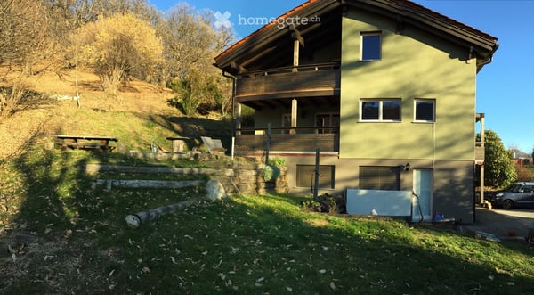Affittasi grande casa con giardino 5