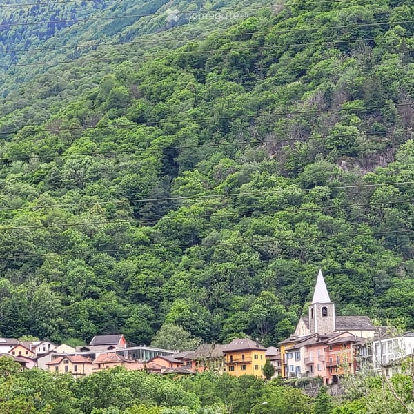 Casa tradizionale Gorduno 5