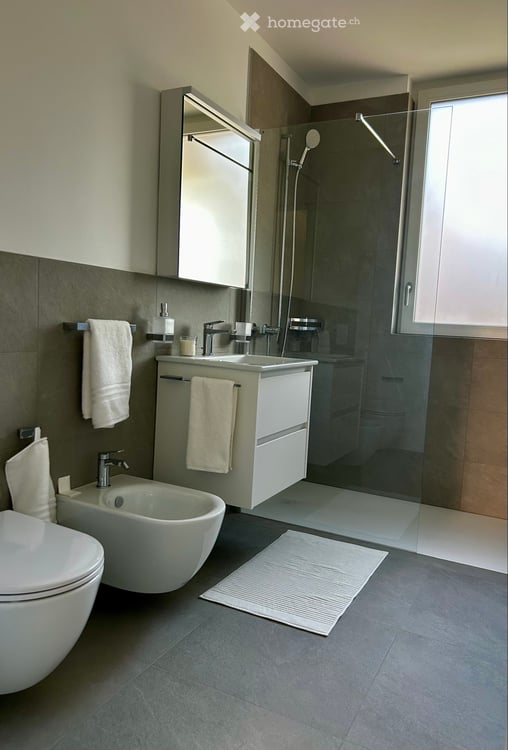 Moderno appartamento 2.5 ammobiliato 4