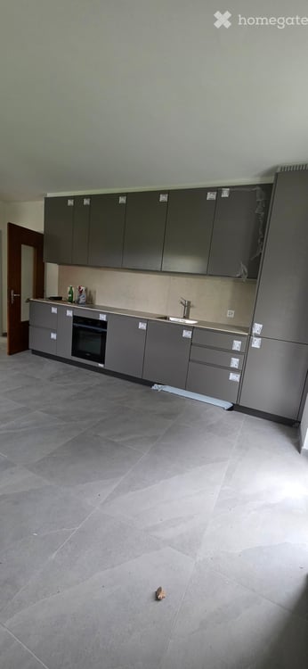 Appartamento ad Osogna 1