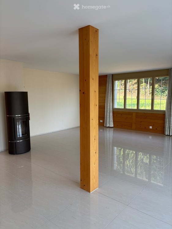 Loft - Dachwohnung 1