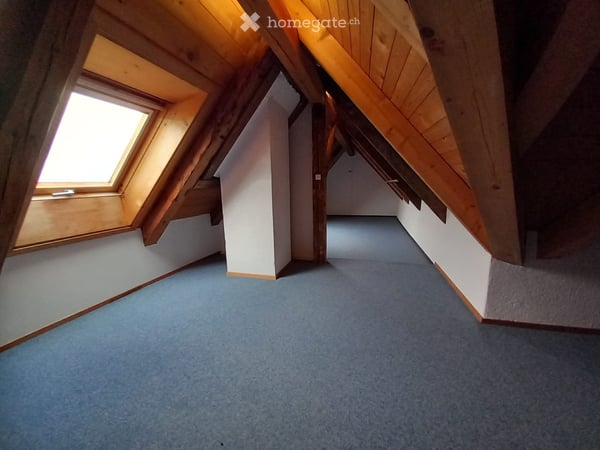 2 Zimmer Wohnung im Grünen Adlerhorst Forst - Längenbühl 4