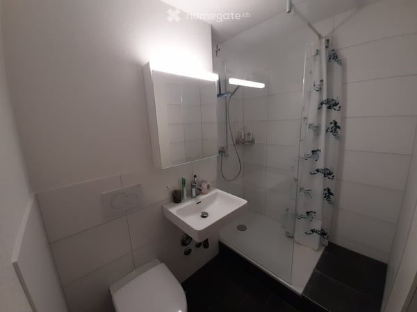 Cercasi subentrante /Nachmieter gesucht 3