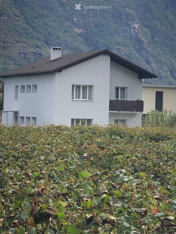 Affittasi appartamento in casa bifamiliare 5