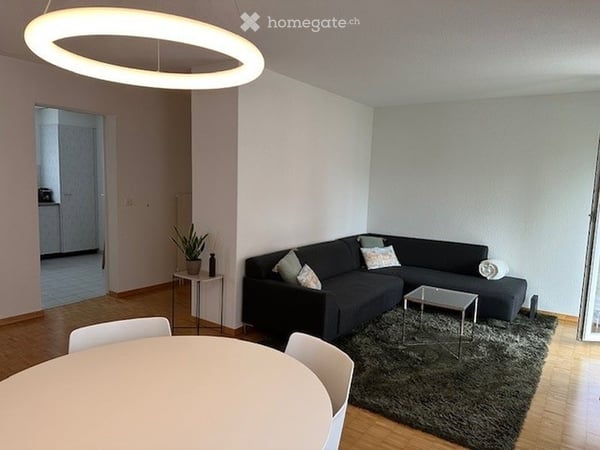 3-Zi. Wädenswil Bergblick & Sonnenbalkon ab Mitte Juli 1