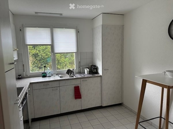 3-Zi. Wädenswil Bergblick & Sonnenbalkon ab Mitte Juli 2