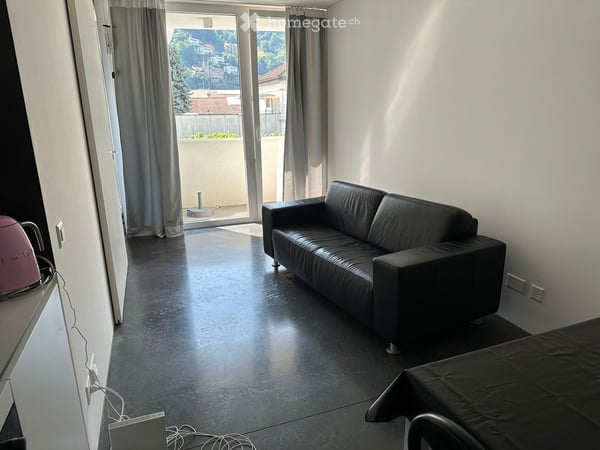 Cerco subentrante 2,5 a Bellinzona 2