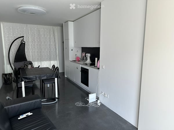 Cerco subentrante 2,5 a Bellinzona 1