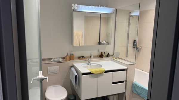 3z möblierte zentral Luzern 3 rooms furnished central Lucern 2