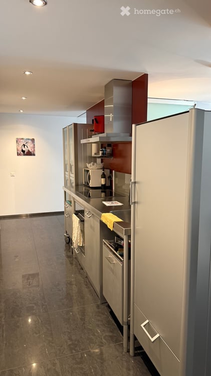 3z möblierte zentral Luzern 3 rooms furnished central Lucern 5