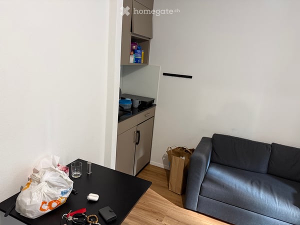 Auszug aus dem Betreibung nicht alter als 3 Monat 2